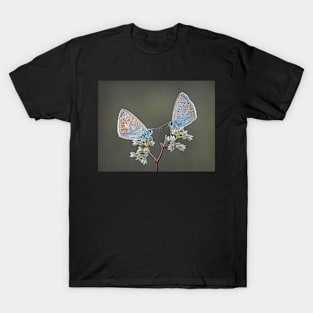 Common Blue butterflies T-Shirt